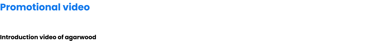 promotional_video